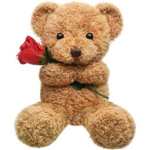 Valentine Bear Stuffed Animal with Rose